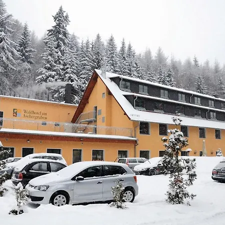 Waldhotel Am Aschergraben 3* Geising