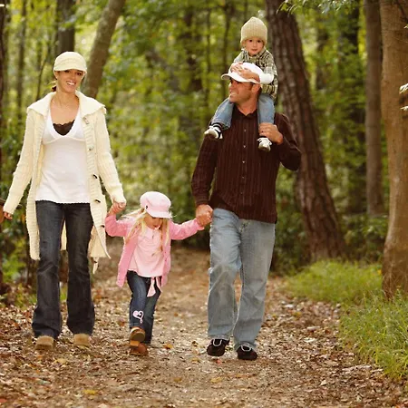 Waldhotel Am Aschergraben Otel Geising