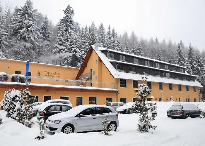 Waldhotel Am Aschergraben 3* Гайзинг
